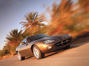 jaguar_xk8_coupe.jpg